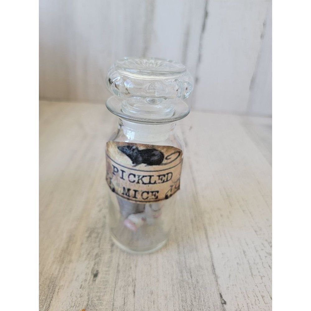 Witch potion ingredients pickled mice scary Halloween bottle prop decor